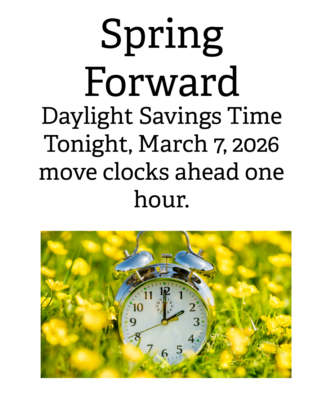 Spring Forward - SANDHILLS NEWS
