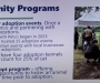 Harnett County barks down animal shelter’s negative energy