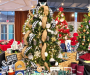 Plan to attend the Festival of Trees in Pinehurst